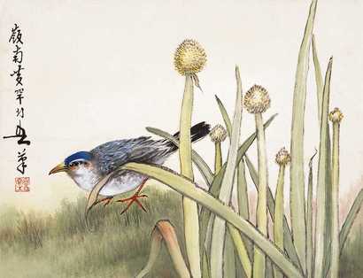 黄幻吾 花鸟 镜心